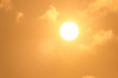 Klimaeksperter advarer om at VM-kampene kan overskride terskelen for ekstrem varme, noe som kan utgjøre en risiko for spillere og tilskuere