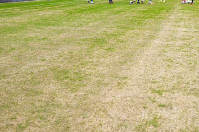 Bildene bekymrer - UEFA følger utviklingen tett