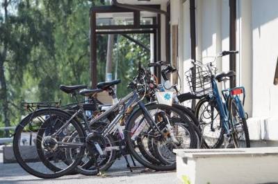 Nå bør du være ekstra obs: – Mørketallene er store