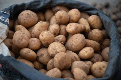 Berlin drukner i poteter