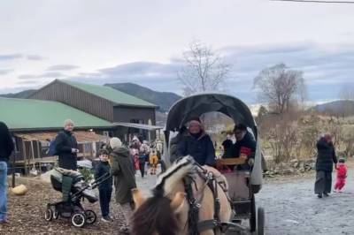 Kom hit for å få julemagisk stemning