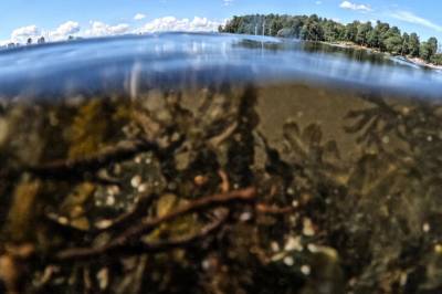 Derfor bør Norge satse milliarder på nitrogentiltak i Oslofjorden