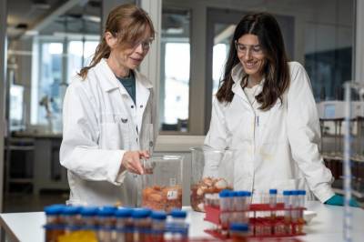 Skal vi kaste bort mat på biogass?