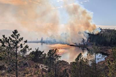 Mandag 27. april: Dette skjedde i natt