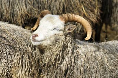 – Smil, det er helg, og meldt sol