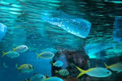 Nytt tiltak: – Et alvorlig problem