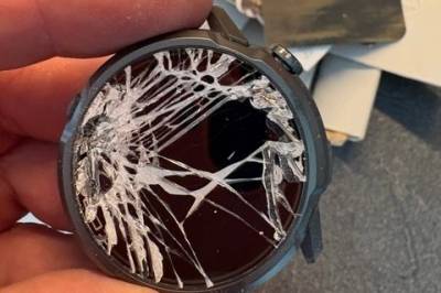 Knust klokke fra Postnord: – Er det pitbullen til sjåføren?