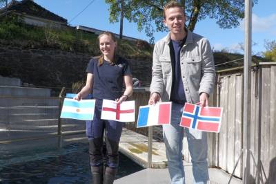 VM-profeten: Hvem vinner VM?