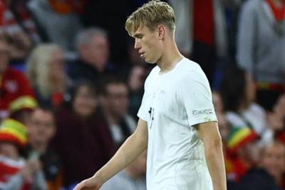 Heggem reiser hjem etter utvisningen mot Wales