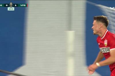 Scoring for Dzenan Pejcinovic