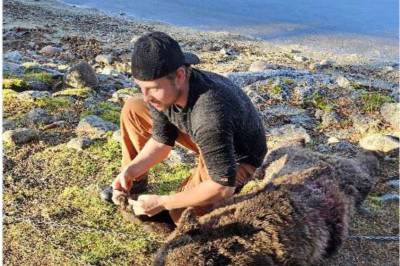 Isak Dreyer tiltalt for ulovlig jakt: – Angrer ikke på noe