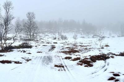 Skjebneuke: – Jeg er veldig spent
