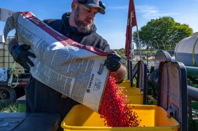 O, du som metter liten fugl, hvor blir du av?