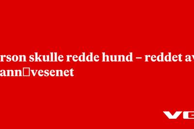 Person skulle redde hund – reddet av brann­vesenet