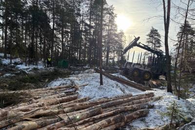 Sagaen om Vestnebba, privat eiendomsrett og forskjellen på følelser og fakta