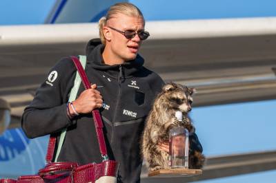 Eksperter: Haaland kan bli større enn både Ronaldo og Michael Jordan