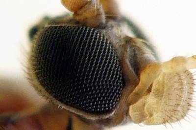 Test deg selv: Forskning.nos quiz