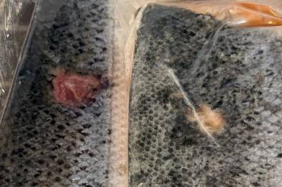 Laks full av sår seld som «premium kvalitet» i bergensk frysedisk
