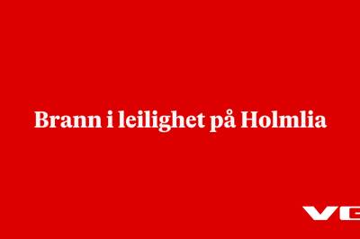 Brann i leilighet på Holmlia