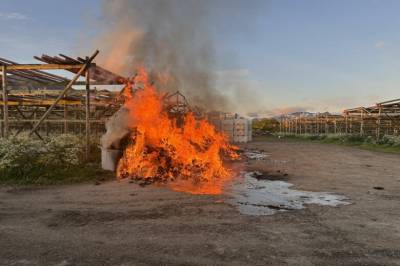Ber om fengselstraff for tyske turister