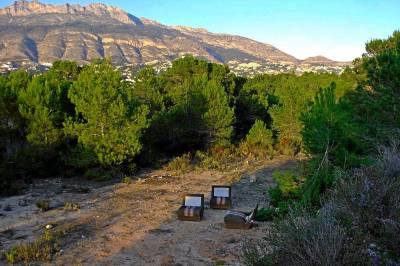 Skandaletomten i Spania var tilsynelatende solgt. Det var for godt til å være sant.