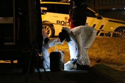 Arna-drapet: Fant en gjenstand i skogen bak åstedet