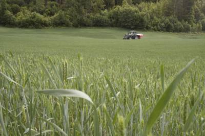 Analytiker mener dette er bare starten: Vil treffe mer enn drivstoffprisene