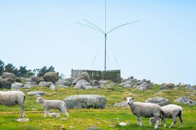 Peileanlegget ble fjernet ved en feil: – Beklager, sier Telenor