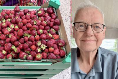 Raser mot jordbær-nasking: – Den norske ordningen er urettferdig