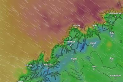 Varmeste julaften på 10 år: – Svært uvanlig