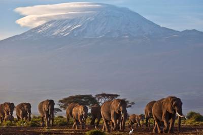 Hva heter Afrikas høyeste fjell?