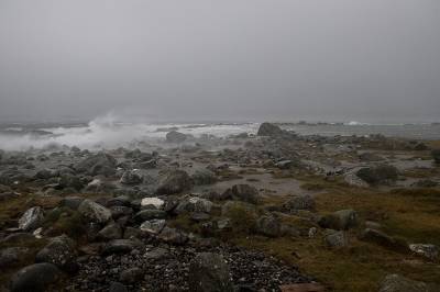Gult farevarsel, melder sterk vind på kysten