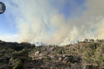 Skogbrann i Fitjar ute av kontroll