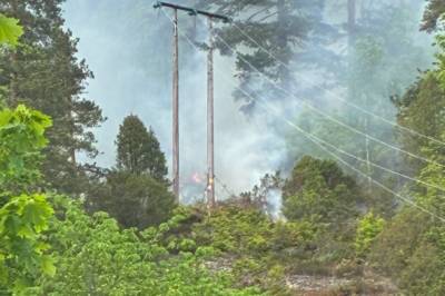Brann i Skien