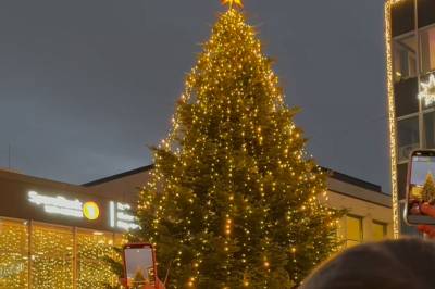 Julegrantenning i Stavanger