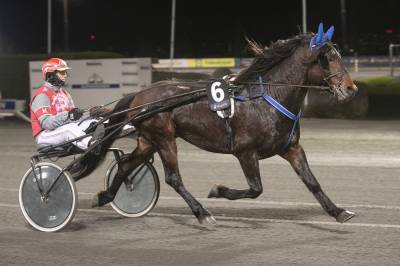 Fredagskveld med dobbel V65-jackpot på Jarlsberg