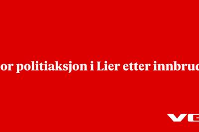 Stor politiaksjon i Lier etter innbrudd