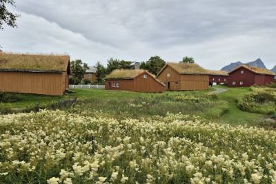 Kan du bli syk av å besøke disse stedene?