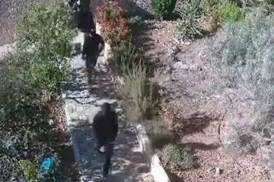 - De hadde med seg våpen, stein og brannbomber