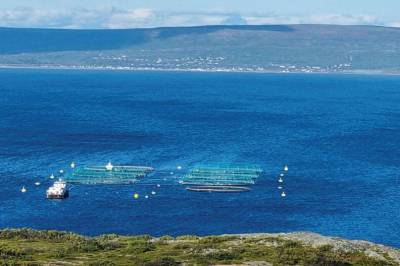 Ti nye år med dagens oppdretts praksis i Varangerfjorden?