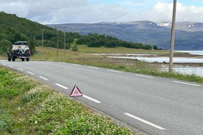 Hvalrossen i Tana er funnet død