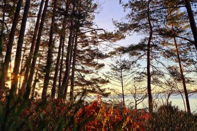 Kor synleg blir showet på himmelen nyttårsaftan? Dette seier meteorologen