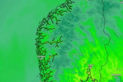 - Lett å bli lurt nå