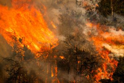 WMO: Giftig røyk fra skogbranner gir oss store helse­utfordringer
