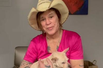 Raser mot innsamling: - Det er flaut