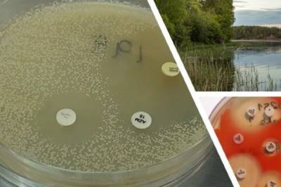 Antibiotikaresistens sprer seg i elver og innsjøer over hele Europa