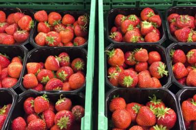 Prisforskjell: 130 kr/kilo