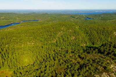 Gigafabrikken - Tredoblet arealet: - Skremmende